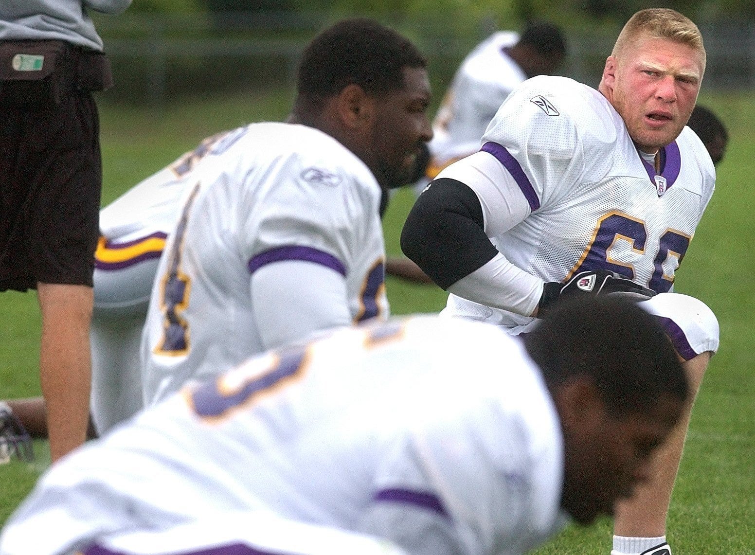 brock lesnar vikings jersey